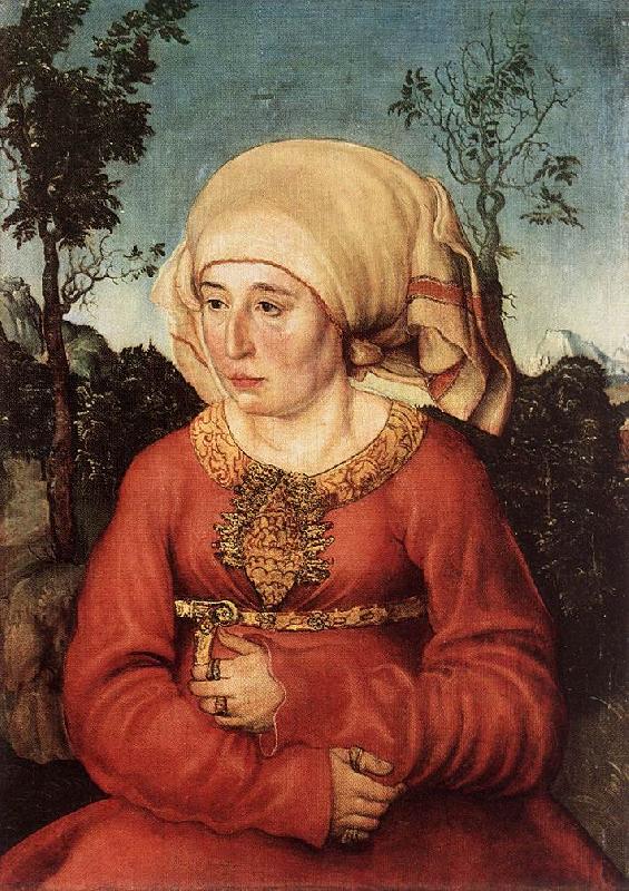 CRANACH, Lucas the Elder Portrait of Frau Reuss dgg oil painting picture